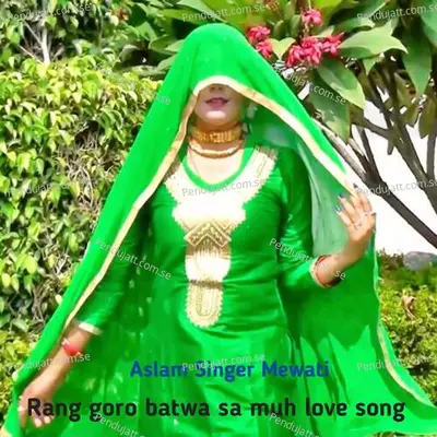 Rang Goro Batwa Sa Muh Love Song - Aslam Singer Mewati album cover 