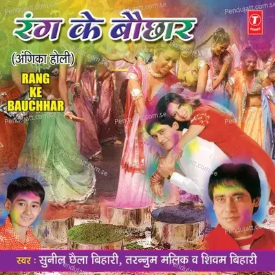 Bhijaye Deeyo Daiyaa - Sunil Chhaila Bihari album cover 