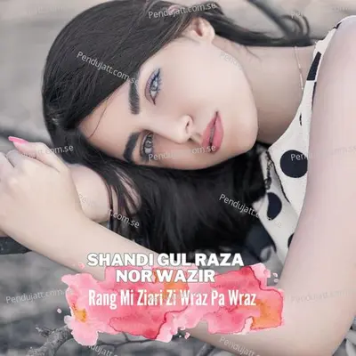 Rang Mi Ziari Zi Wraz Pa Wraz - Shandi Gul album cover 