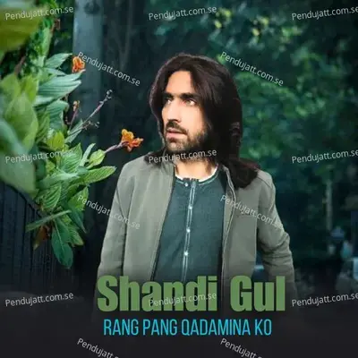 Rang Pang Qadamina Ko mp3 song