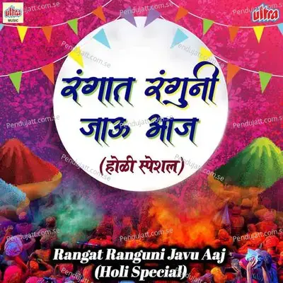 Ned Mawa Karsana Holi - Pandurang Meshram album cover 