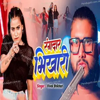 Rangdaar Bhikhari - VIVEK BHIKHARI album cover 