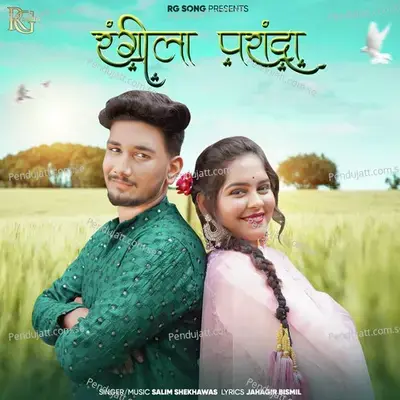 Rangila Paranda - Salim Shekhawas album cover 