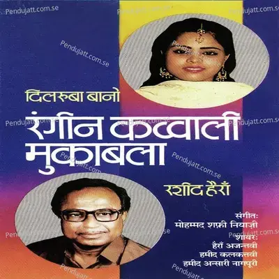 Naya Jaal Bichhane Aaya - Dilruba Bano album cover 