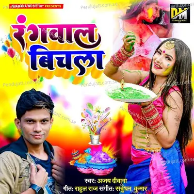 Rangvala Bichalka - Ajay Deewana album cover 