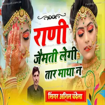 Rani Jaimti Legi Taar Matha Na - Anil Chandela album cover 