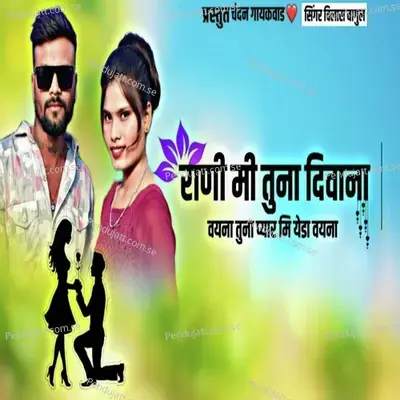 Rani Mi Tuna Diwana Vhayna Tuna Pyar Mi Yeda Vhayna - Vilas Bagul album cover 