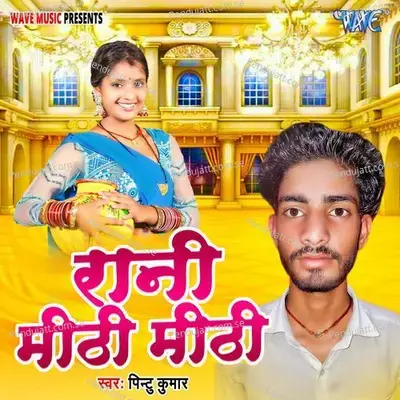 Rani Mithi Mithi - Pintu Kumar album cover 