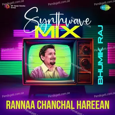 Rannaa Chanchal Hareean Synthwave Mix - Bhumik Raj album cover 