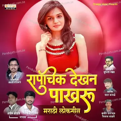 Rapchik Dekhana Pakharu - Santosh Salve album cover 