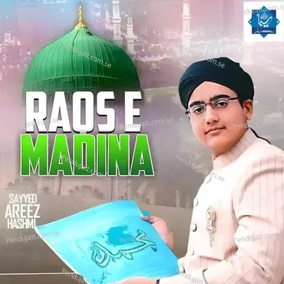 Raqs E Madina - Sayyed Areez Hashmi album cover 