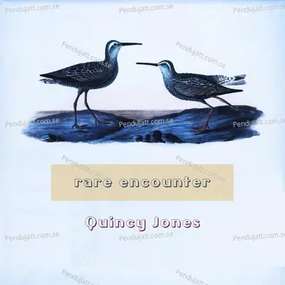 Rare Encounter - Quincy Jones cover album