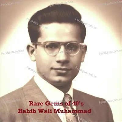 Aag Lagi Man Mein - Habib Wali Muhammad album cover 