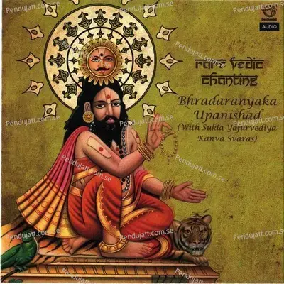 Rare Vedic Chanting - Dr.R. Thiagarajan cover album