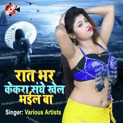 Rowatiya Pujwa - Riyal Rahul Pashwan album cover 