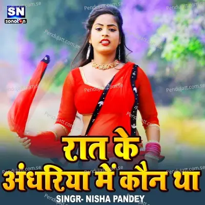 Rat Ke Anghariya Me Koun Tha - Nisha Pandey album cover 