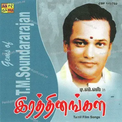 Naanathale Kannam - Vedaanta Iyer album cover 