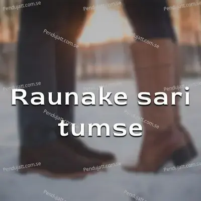 Raunake Sari Tumse - Various Artists
