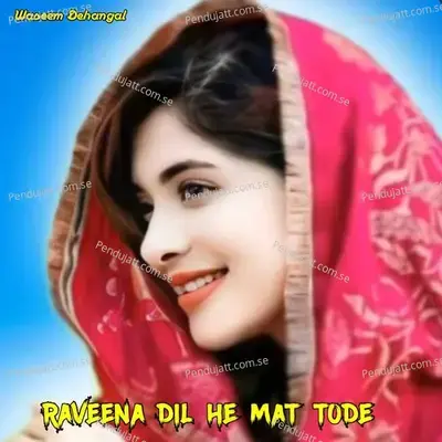 Raveena Dil He Mat Tode - Waseem Dehangal album cover 