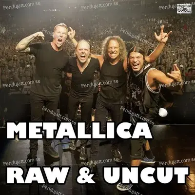 Broadcast Interview - Metallica album cover 