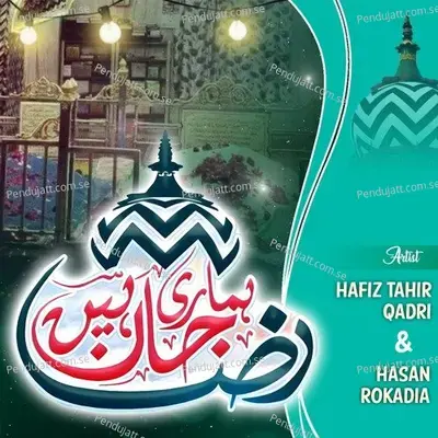 Raza Hamari Jaan Hai - Hasan Rokadia album cover 