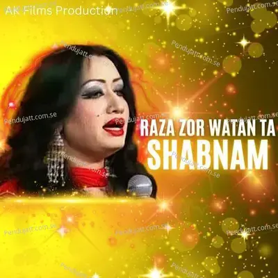 Raza Zor Watan Ta - Shabnam album cover 