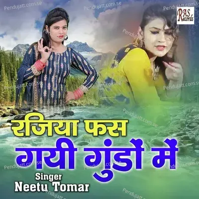 Razia Phas Gayi Gundun Me - Neetu Tomar album cover 