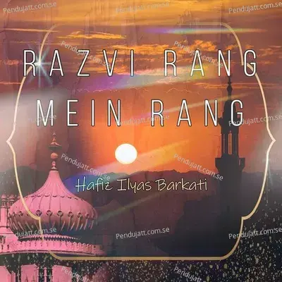 Razvi Rang Mein Rang - Hafiz Ilyas Barkati album cover 