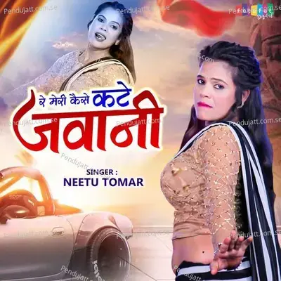 Re Meri Kaise Kate Jawani - Neetu Tomar album cover 
