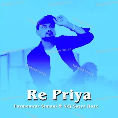 Re Priya - Parmeswar Sunani album cover 