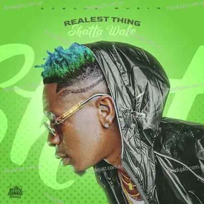 Mufasa  The Lion King  Hindi Original Motion Picture Soundtrack 