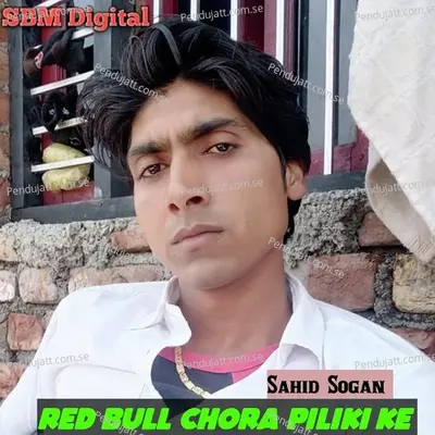 Red Bull Chora Piliki Ke - Sahid Sogan album cover 