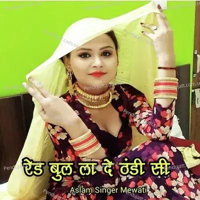 Red Bull La De Thandi Si - Aslam Singer Mewati album cover 