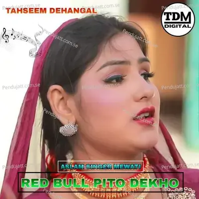 Red Bull Pito Dekho - Tahseem Dehangal album cover 