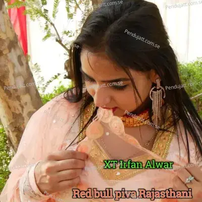 Red Bull Piva Rajasthani - XT IRFAN ALWAR album cover 