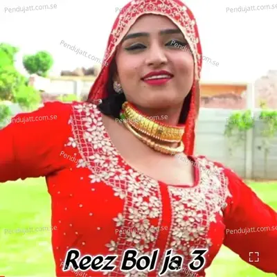 Reez Bol Ja 3 - Rk banty album cover 