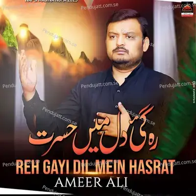 Reh Gayi Dil Mein Hasrat - Ameer Ali album cover 