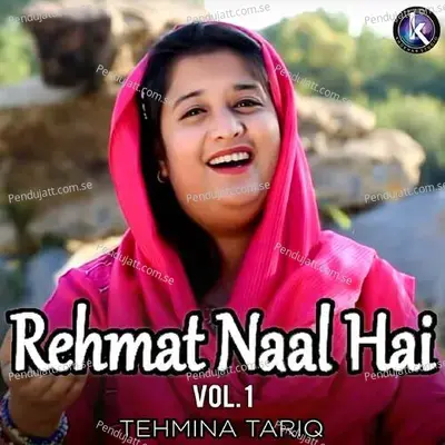 Mashup Zaboor - Tehmina Tariq album cover 