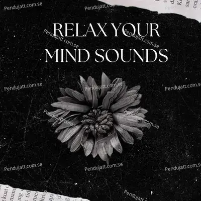 Relax Your Mind Sounds - Lakhan Hire album cover 