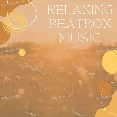 Relaxing Beatbox Music - Lakhan Hire album cover 