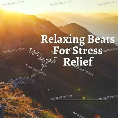 Relaxing Beats For Stress Relief - Lakhan Hire album cover 