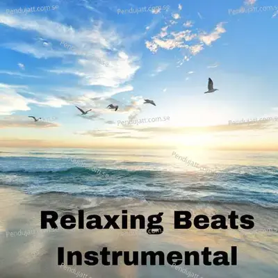 Relaxing Beats Instrumental - Lakhan Hire album cover 