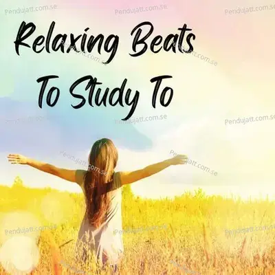 Relaxing Beats To Study To - Lakhan Hire album cover 