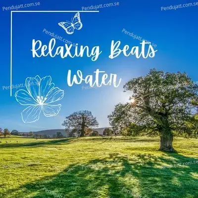 Relaxing Beats Water - Lakhan Hire album cover 
