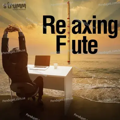 Relaxing Flute - Various Artists cover album