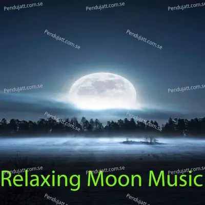 Relaxing Moon Music - Lakhan Hire cover album
