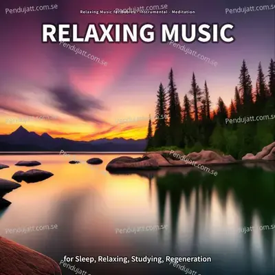 Relaxing Music To Focus - Relaxing Music for Babies album cover 