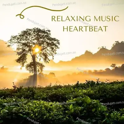 Relaxing Music Heartbeat - Lakhan Hire album cover 