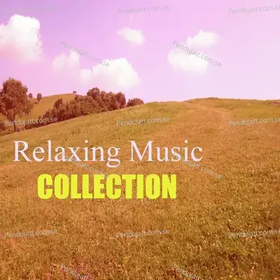 Relaxation Panflute Music - Maya album cover 