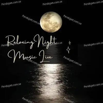 Relaxing Night Music Live - Lakhan Hire album cover 